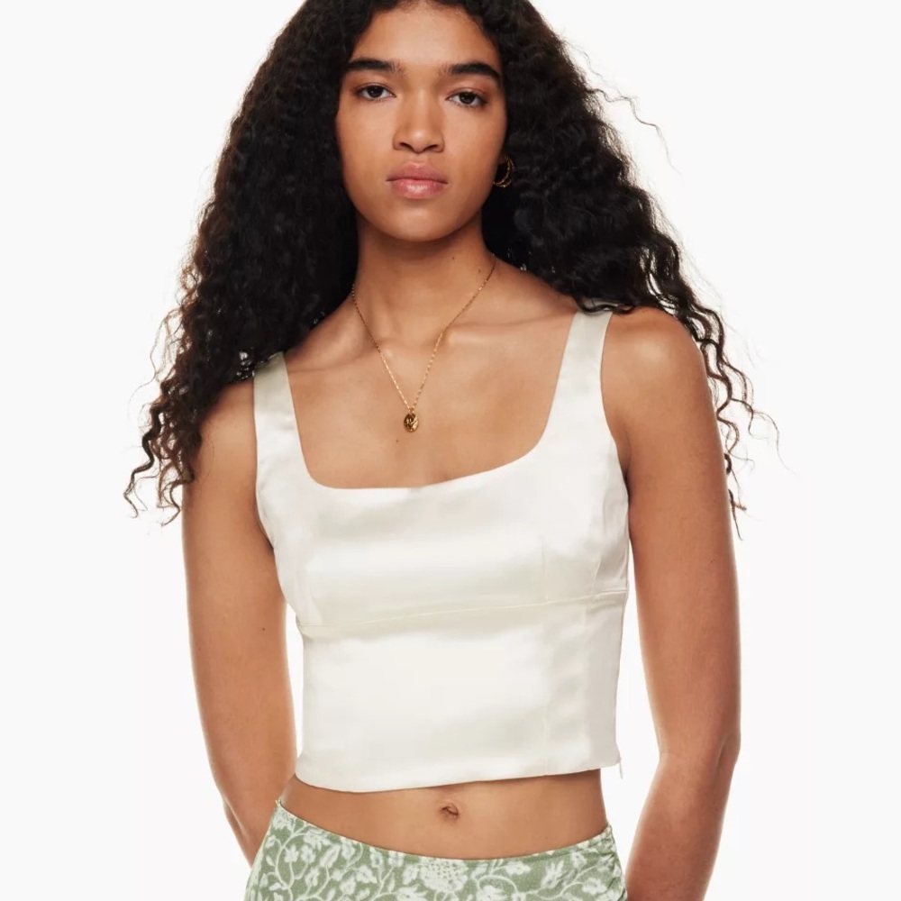 Aritzia Wilfred Shine Bustier